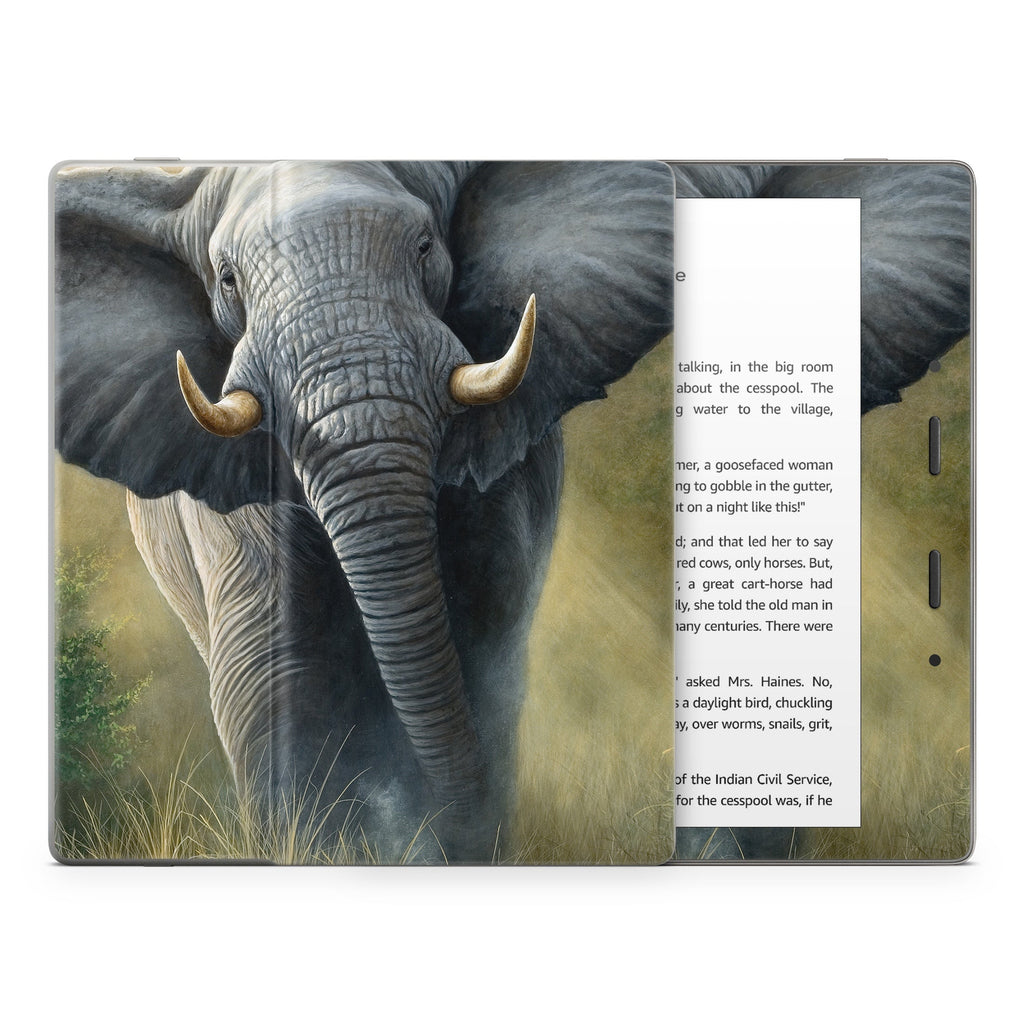 Right of Way - Amazon Kindle Skin