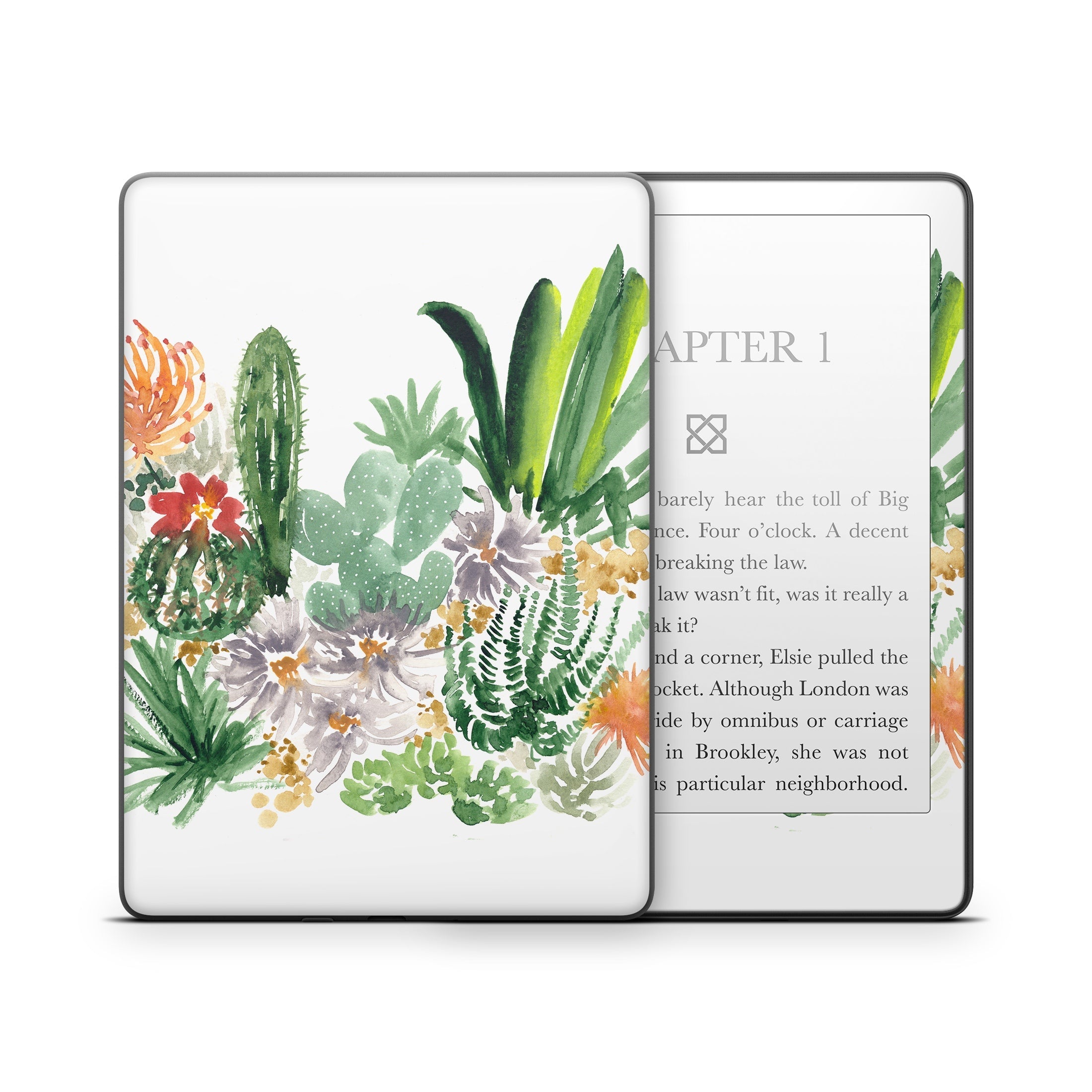 Sonoran Desert - Amazon Kindle Skin