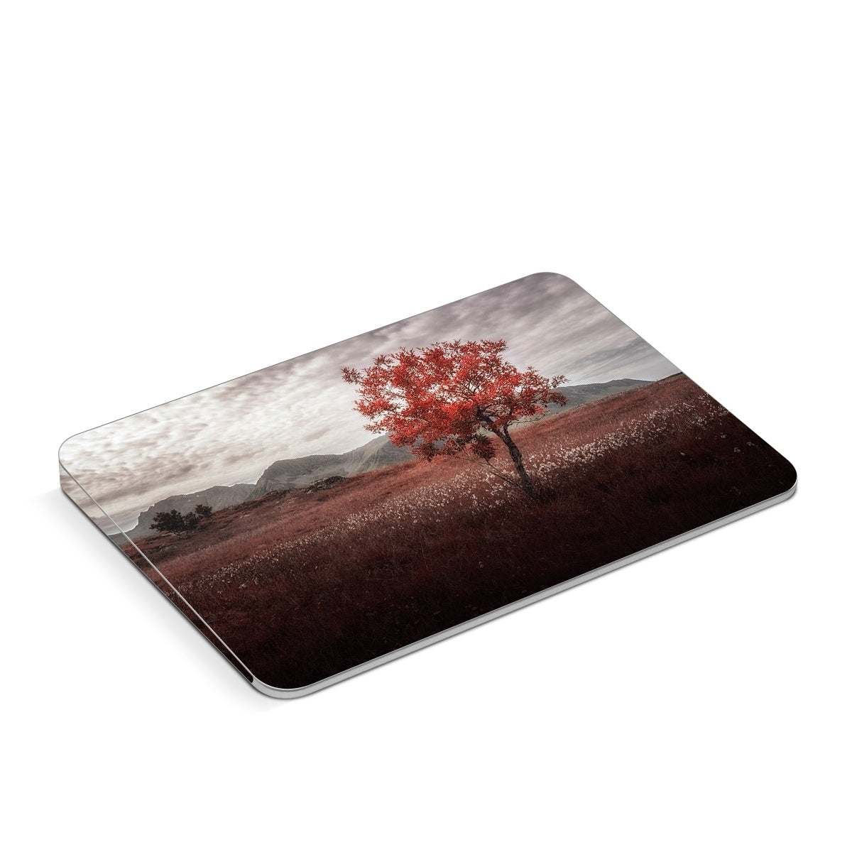 Lofoten Tree - Apple Magic Trackpad Skin