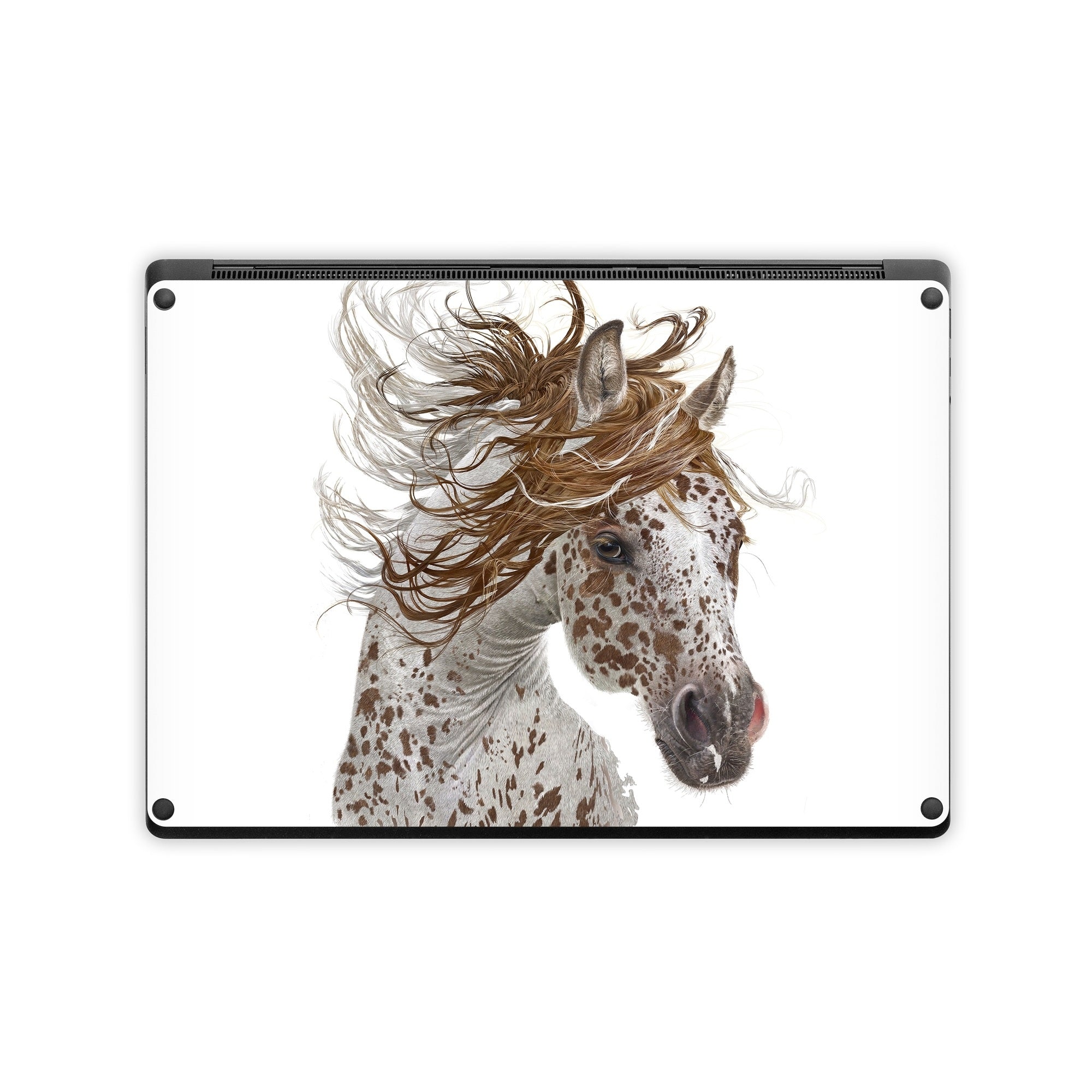 Appaloosa - Microsoft Surface Laptop Skin