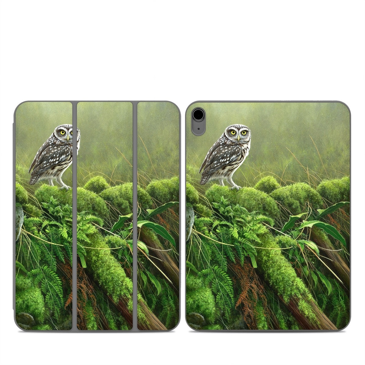 Tumbledown - Apple Smart Folio Skin