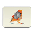 Orange Bird - Apple Smart Keyboard Folio Skin