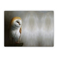 Barn Owl - Microsoft Surface Laptop Skin