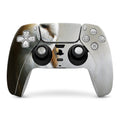 Barn Owl - Sony PS5 Controller Skin
