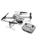 Herbert the Caring Insect - DJI Mavic Air 2 Skin