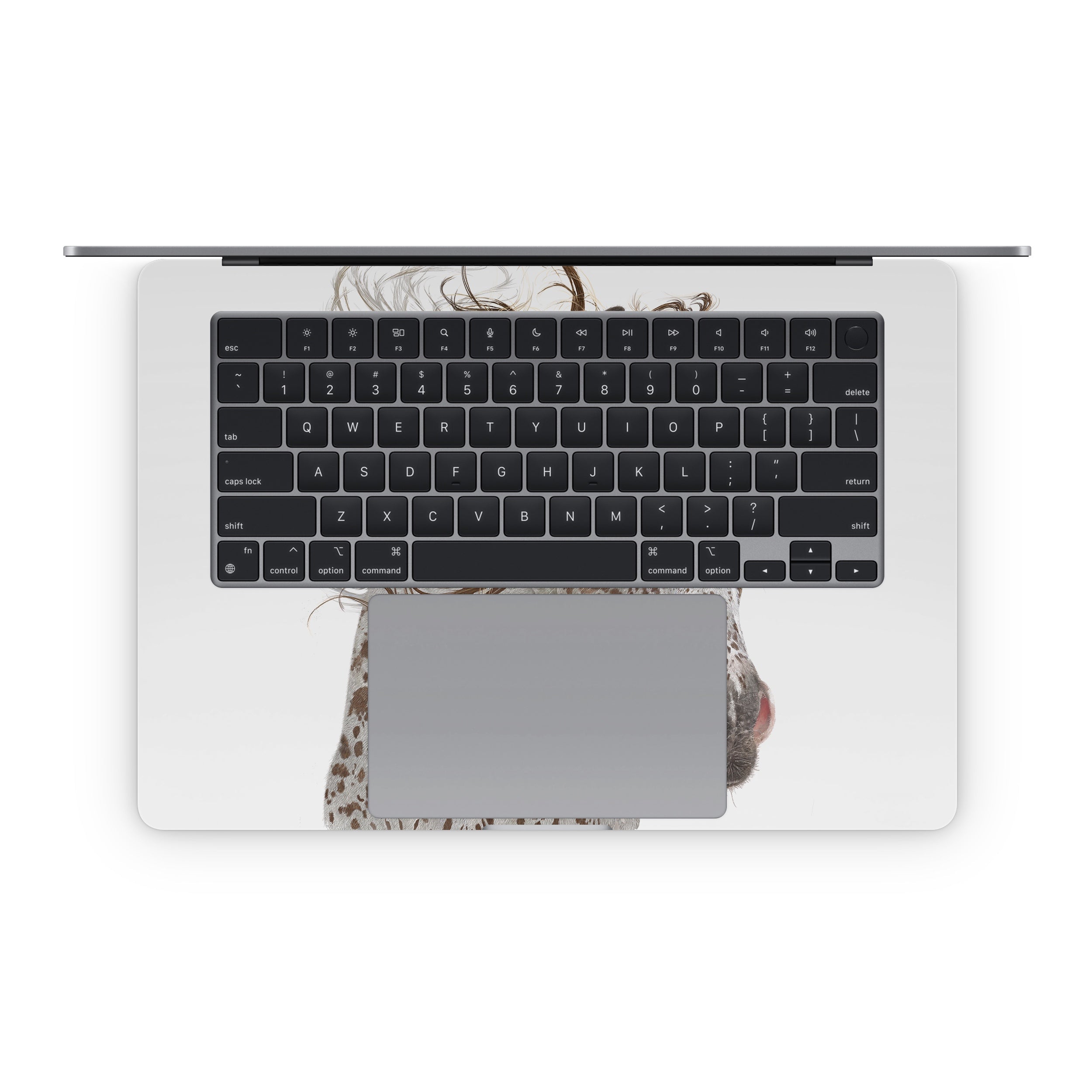Appaloosa - Apple MacBook Skin