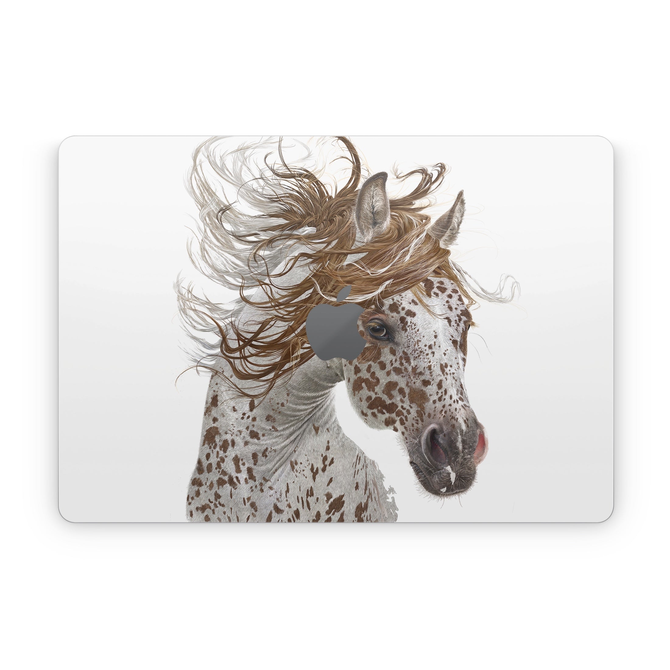 Appaloosa - Apple MacBook Skin