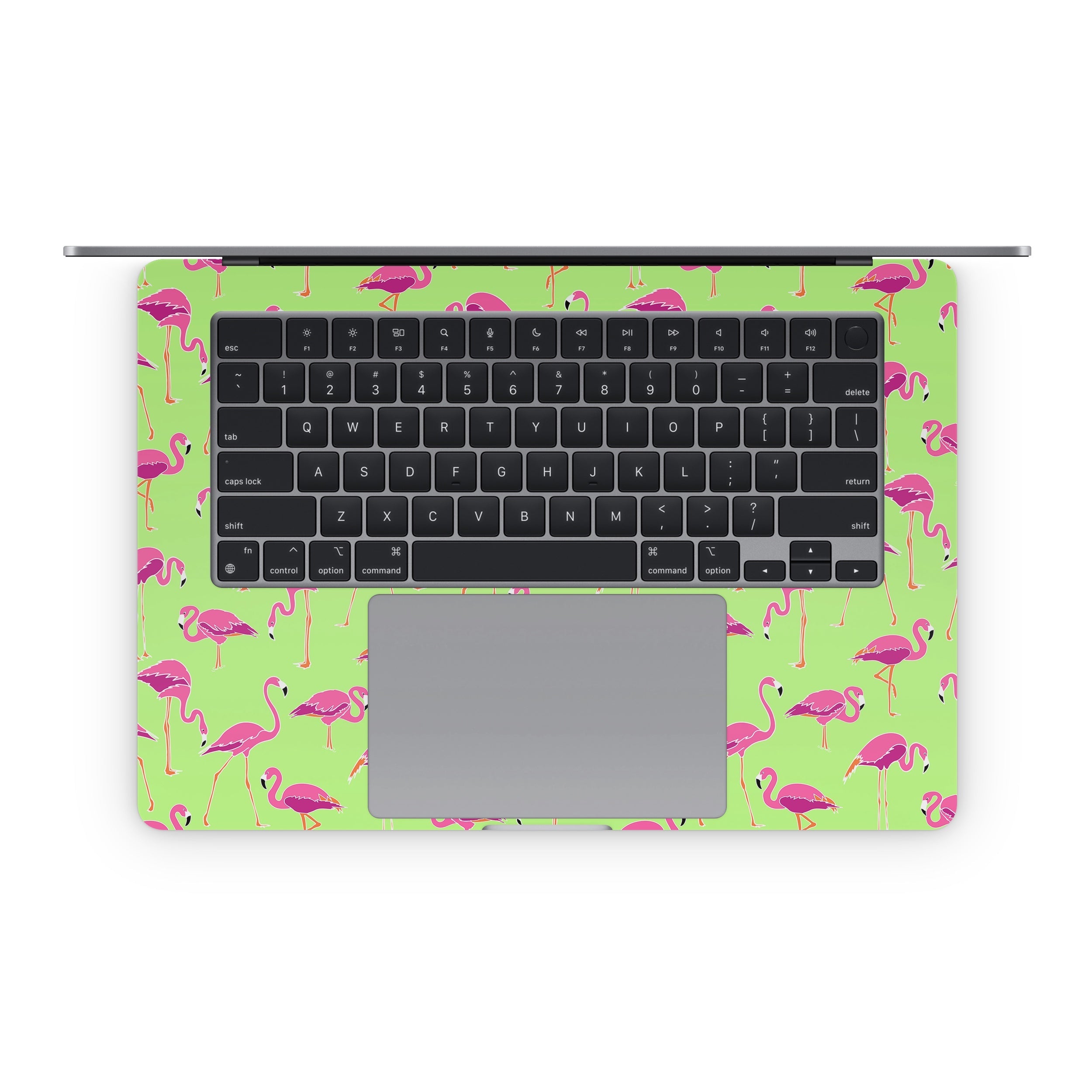 Flamingo Day - Apple MacBook Skin