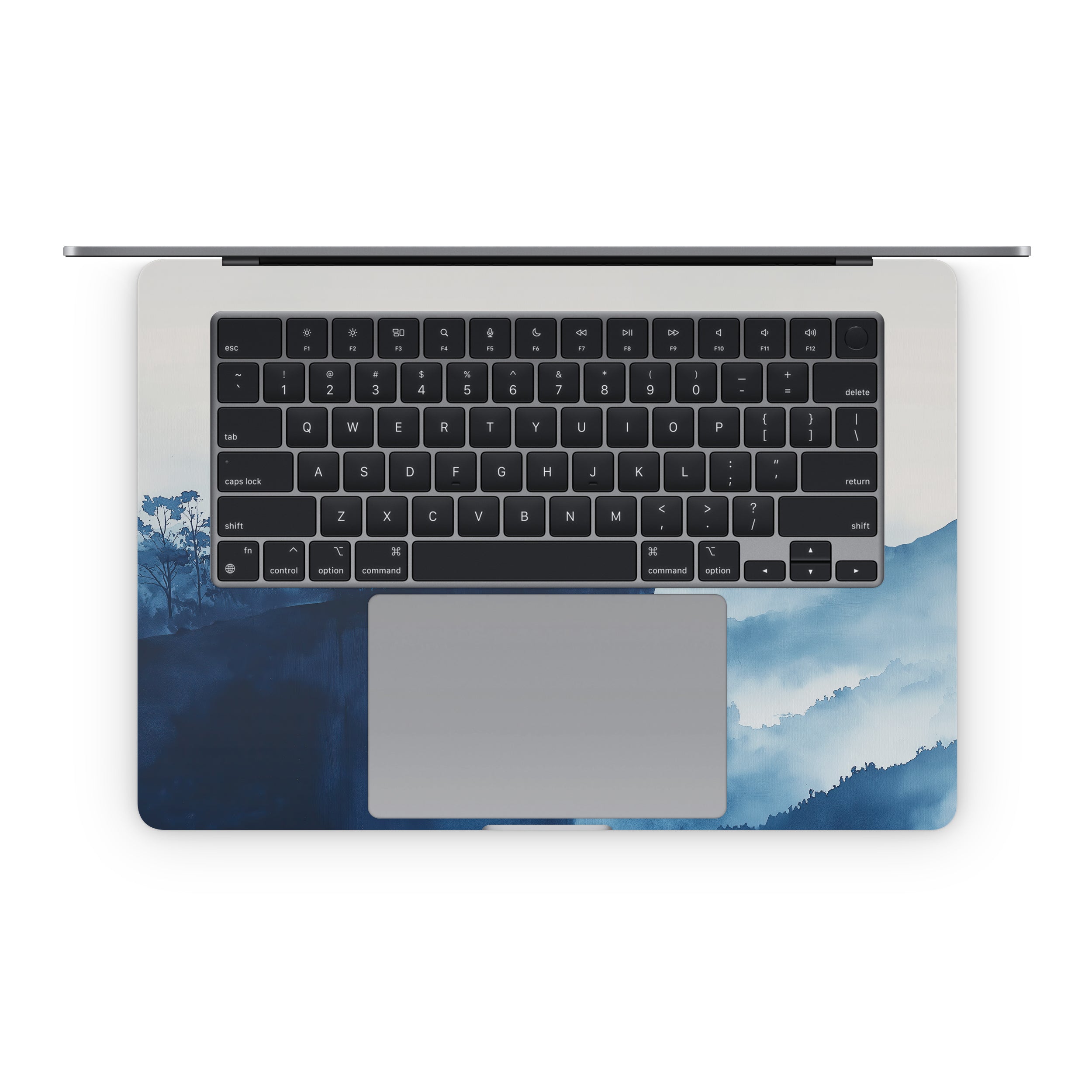 The View - Apple MacBook Skin