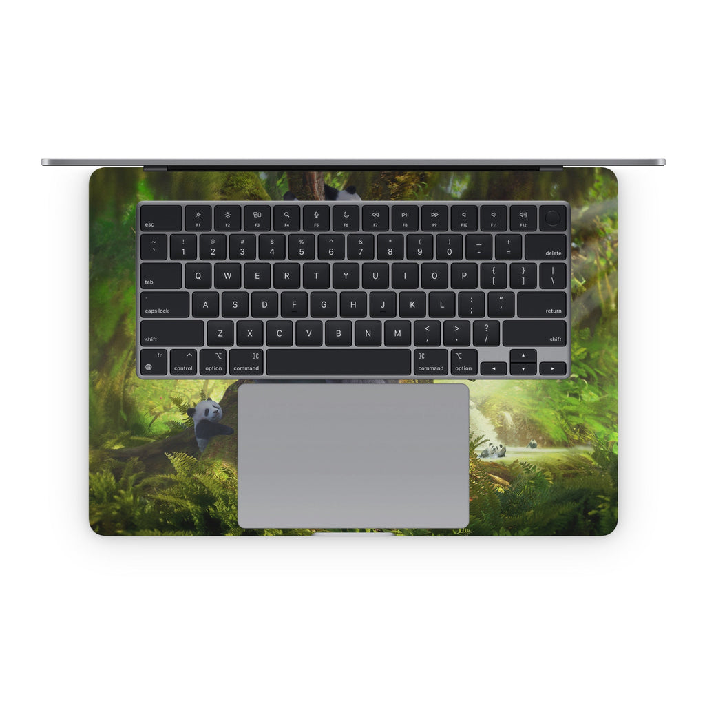 PanDaBear - Apple MacBook Skin