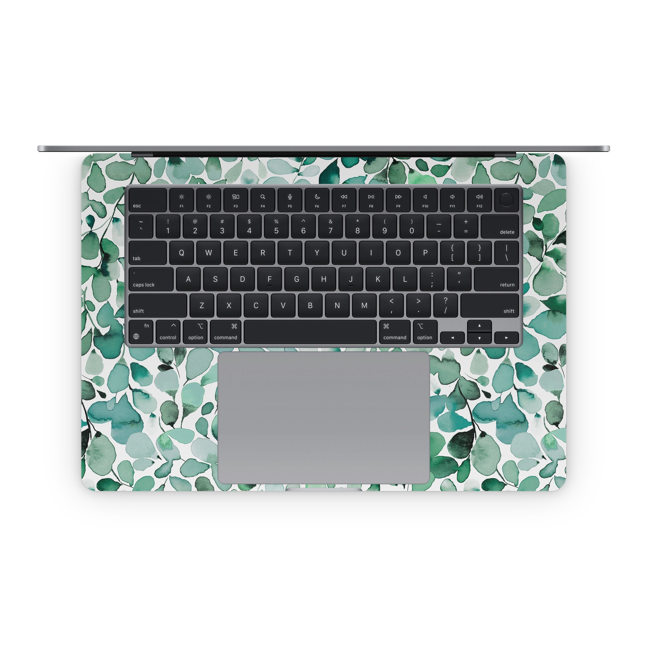 Watercolor Eucalyptus Leaves - Apple MacBook Skin