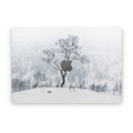 Winter Is Coming - Apple MacBook Skin