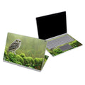Tumbledown - Microsoft Surface Book Skin