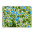 Overlander - Microsoft Surface Laptop Skin