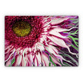Crazy Daisy - Microsoft Surface Pro Skin