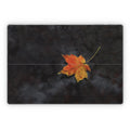 Haiku - Microsoft Surface Pro Skin