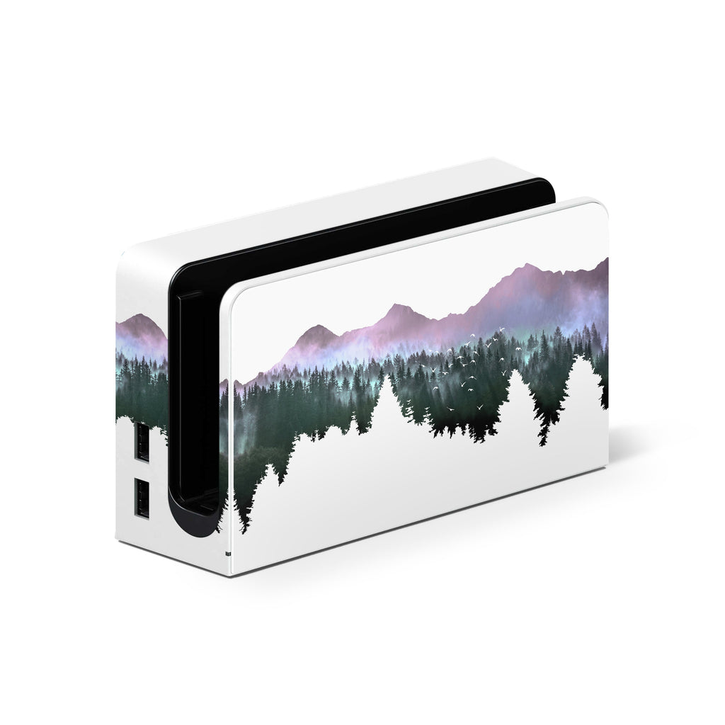 Arcane Grove - Nintendo Switch Skin
