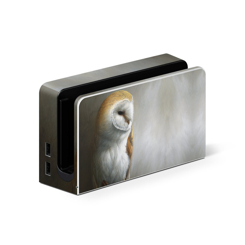 Barn Owl - Nintendo Switch Skin