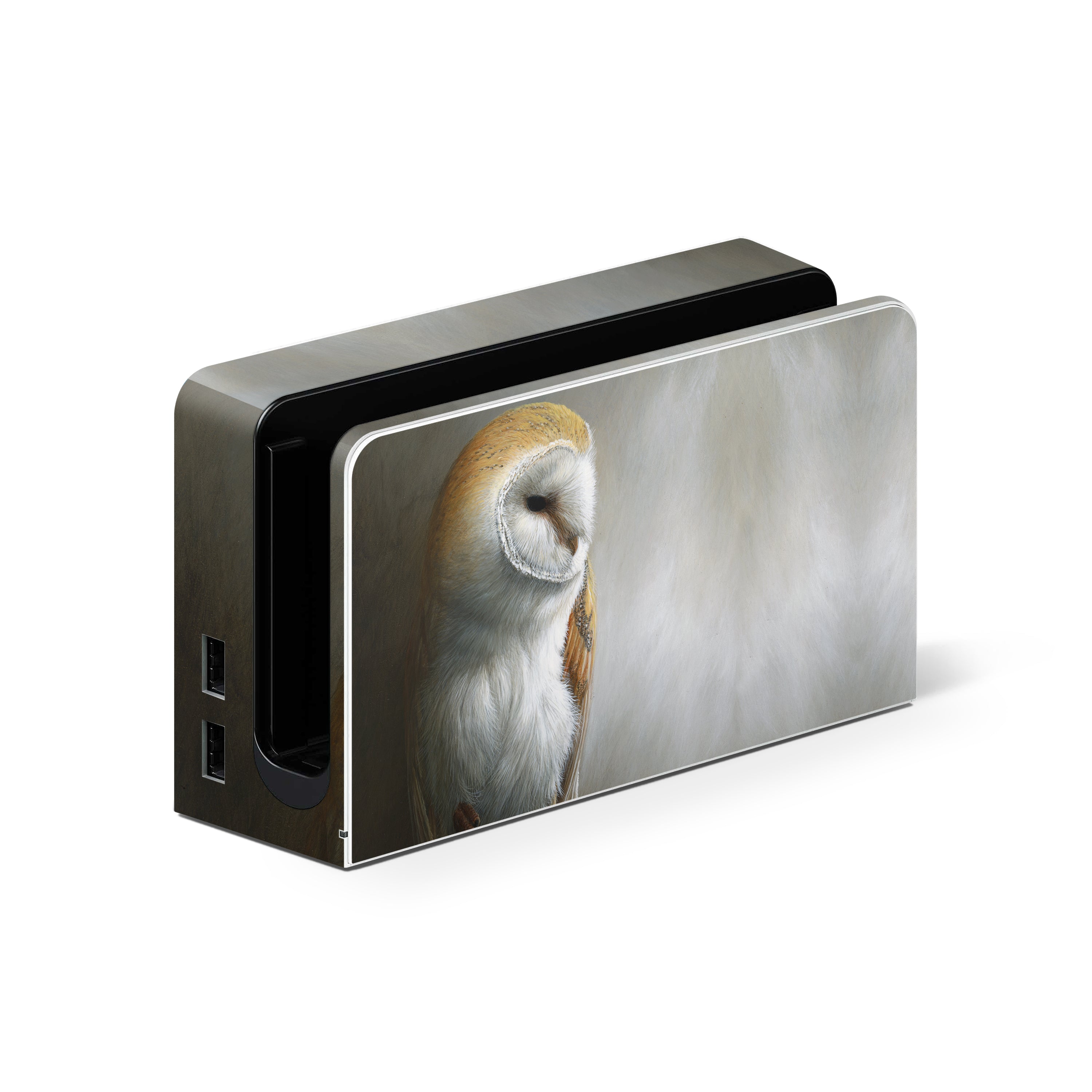Barn Owl - Nintendo Switch Skin