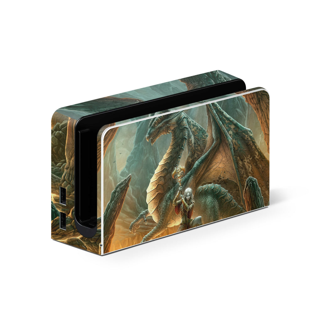 Dragon Mage - Nintendo Switch Skin
