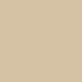 Solid State Beige - DJI FPV Combo Battery Skin