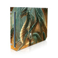 Dragon Mage - Nintendo Wii Skin